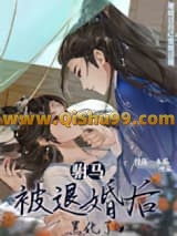 驸马被退婚后黑化了小说