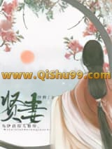 贤妻小说