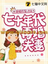 七十年代再婚夫妻小说