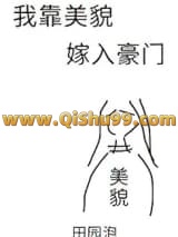 我靠美貌嫁入豪门小说