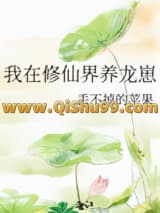 我在修仙界养龙崽小说