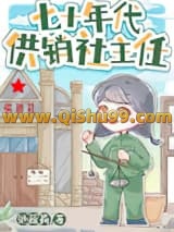 七十年代供销社主任小说