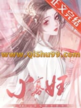 小寡妇小说
