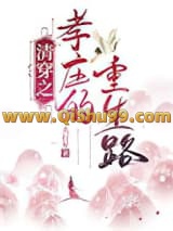 清穿之孝庄的重生路小说
