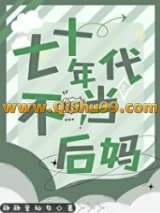 七十年代不当后妈小说