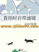 看你时自带滤镜小说