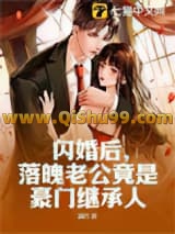 闪婚后，落魄老公竟是豪门继承人小说