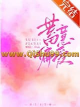 蓄意偏爱小说