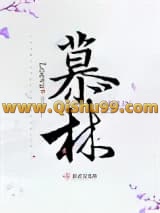 慕林小说