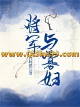 将军与寡妇小说
