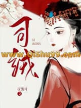 司绒小说