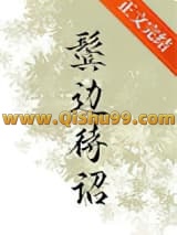 鬓边待诏小说