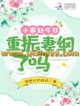 小寡妇今日重振妻纲了吗小说