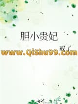 胆小贵妃小说
