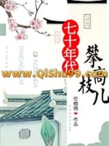 七十年代攀高枝儿小说