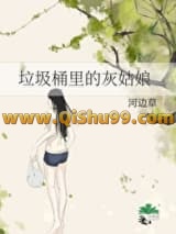 垃圾桶里的灰姑娘小说