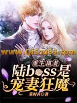 重生甜妻：陆boss是宠妻狂魔小说