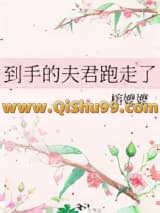 到手的夫君跑走了小说