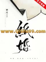 纸婚小说