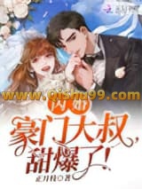 闪婚豪门大叔，甜爆了！小说