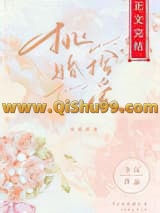 挑婚捡爱小说