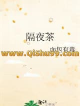 隔夜茶小说