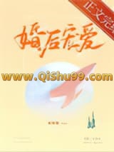 婚后宠爱小说