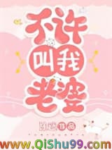 不许叫我老婆小说