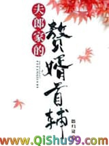 夫郎家的赘婿首辅小说