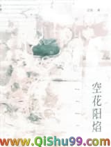 空花阳焰小说