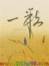一粒小说