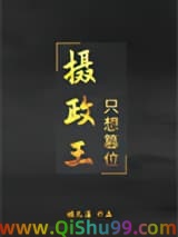 摄政王只想篡位小说