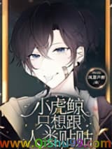 小虎鲸只想跟人类贴贴小说