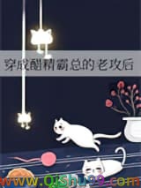 穿成醋精霸总的老攻后小说