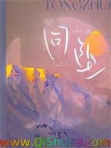 同坠小说