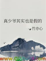 真少爷其实也是假的小说