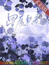 星辰共赴[古穿未]小说