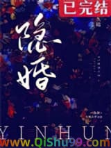 隐婚小说