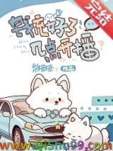 钱充好了，几点开播？小说