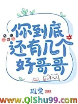 你到底还有几个好哥哥小说
