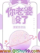 你老婆没了小说