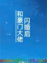 和豪门大佬闪婚后小说