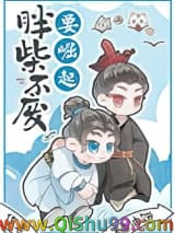 胖柴不废要崛起小说