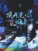 生崽后顶A老公回来了小说