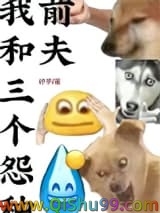 我和三个怨种前夫小说