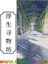 浮生寻物坊小说