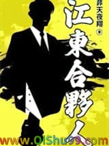 江东合伙人小说