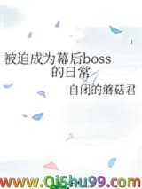 被迫成为幕后boss的日常小说