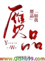 赝品如我小说