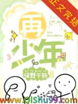 再少年小说